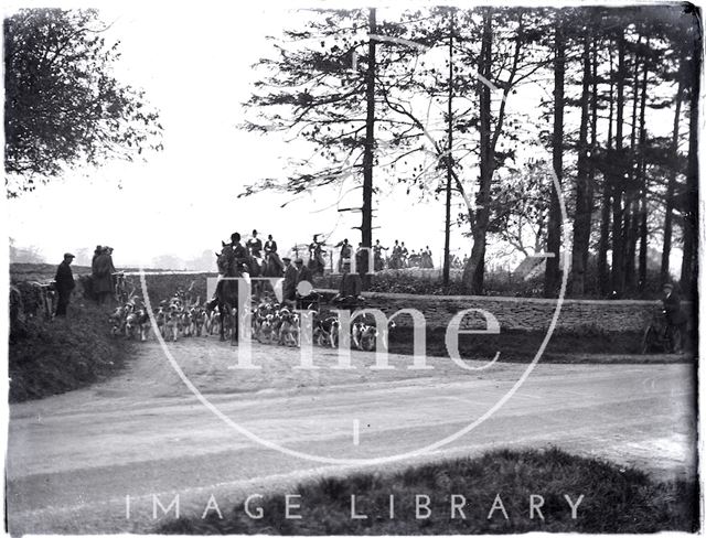 Hounds at Didmarton, Gloucestershire c.1910