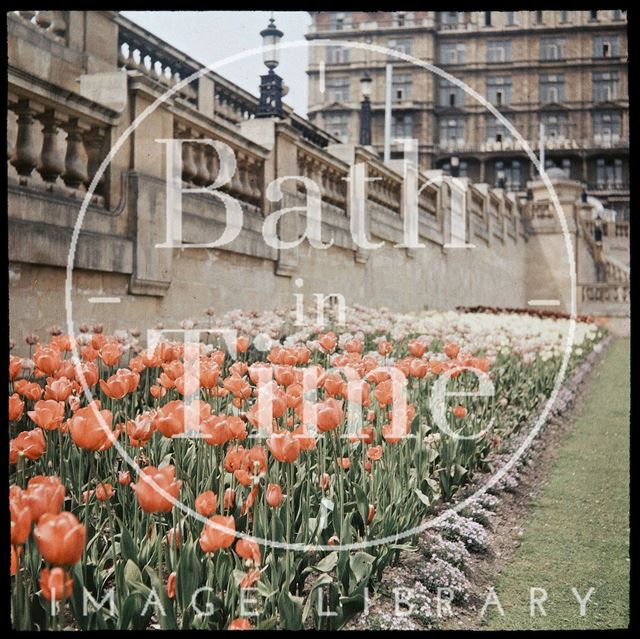 Dufaycolor view of tulips in Parade Gardens and the Empire Hotel, Bath 1937