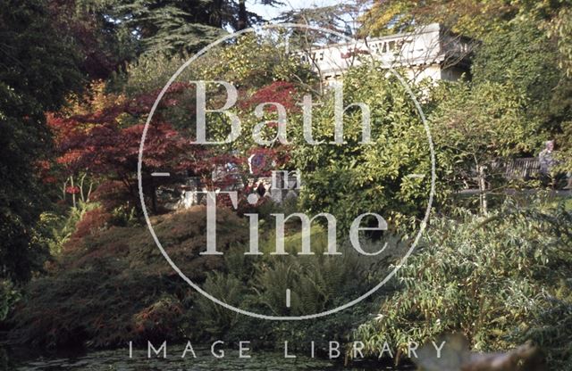 The Botanical Gardens, Royal Victoria Park, Bath 1979