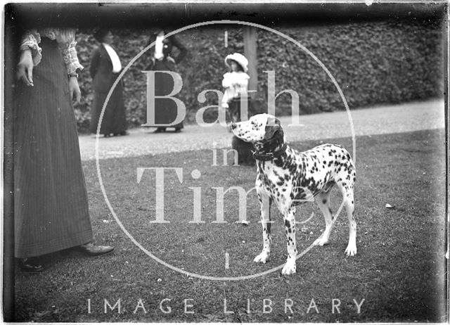 The family Dalmatian, Monkton House, Warminster Road, Limpley Stoke, Wiltshire c.1910