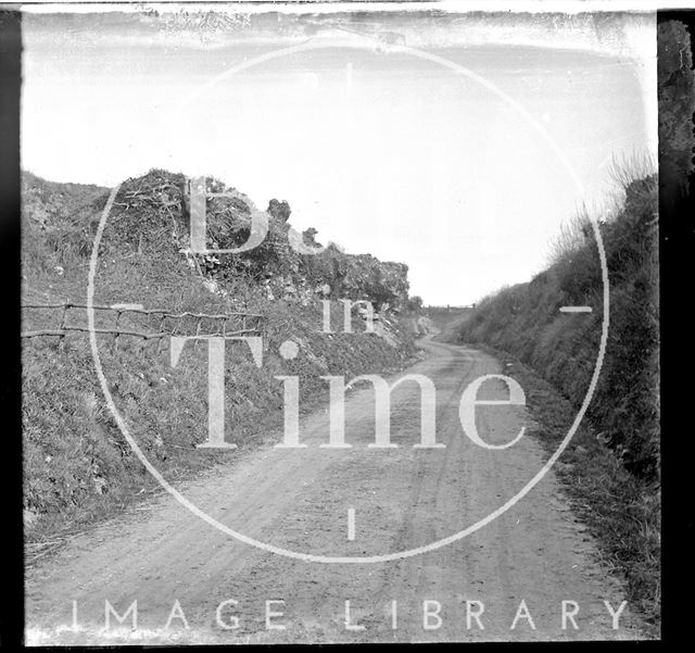 An unidentified Lane, possibly Selborne, Hampshire c.1900