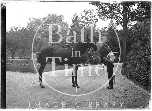 A horse and groom, Monkton House, Limpley Stoke, Wiltshire c.1910