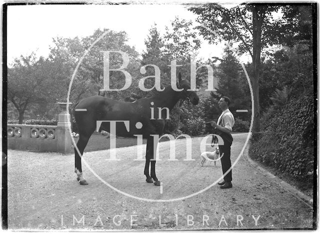 A horse and groom, Monkton House, Limpley Stoke, Wiltshire c.1910