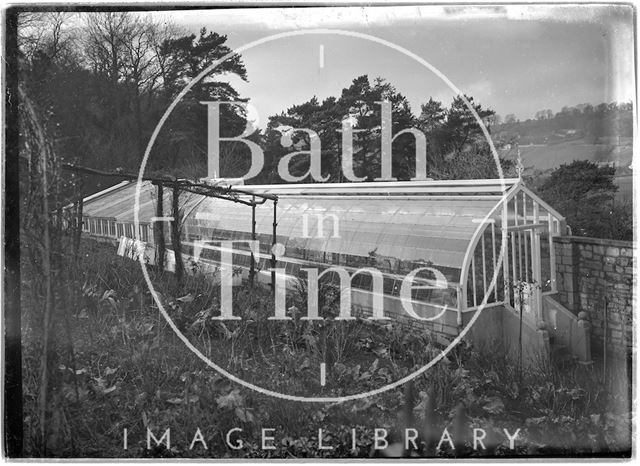 Greenhouse at Monkton House, Limpley Stoke, Wiltshire c.1910