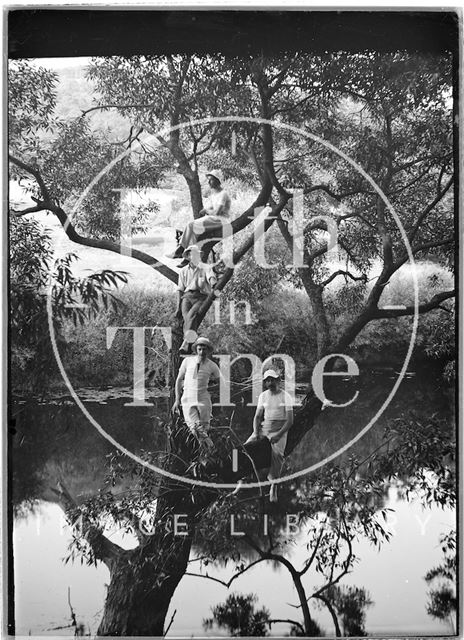 The photographer's pals, in a group photograph up a tree c.1900