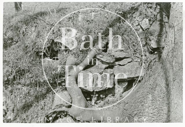 Somersetshire Coal Canal near Radford 1969