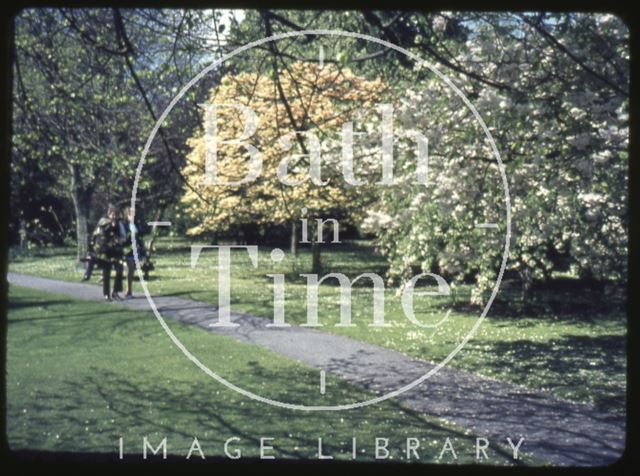 Botanical Gardens, Royal Victoria Park, Bath c.1965