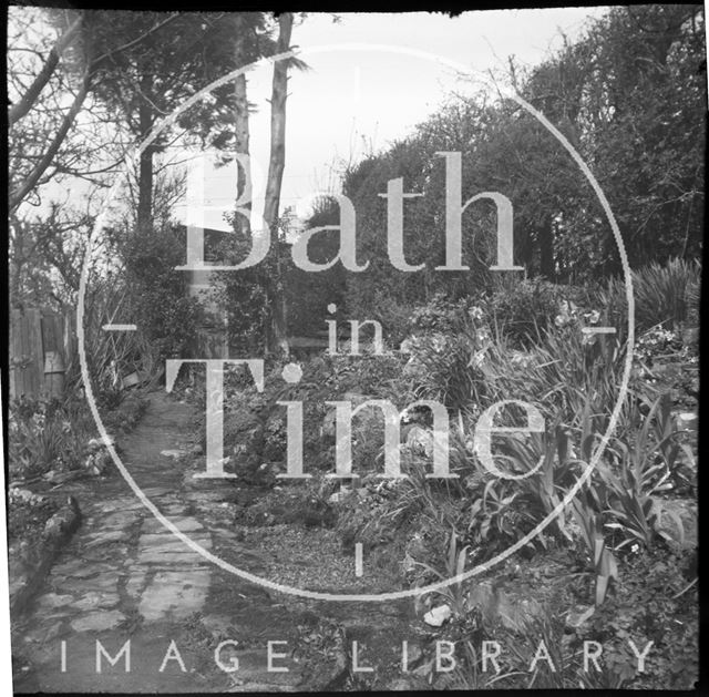 The photographer's extended garden, over the road at Sydney Buildings garden, Bath c.1950