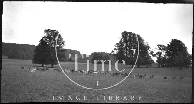 Longleat, Wiltshire c.1900