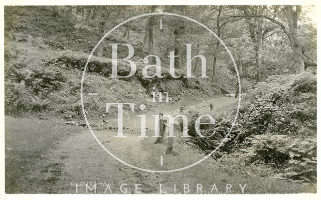 Cloutsham Woods near Minehead, Somerset c.1912