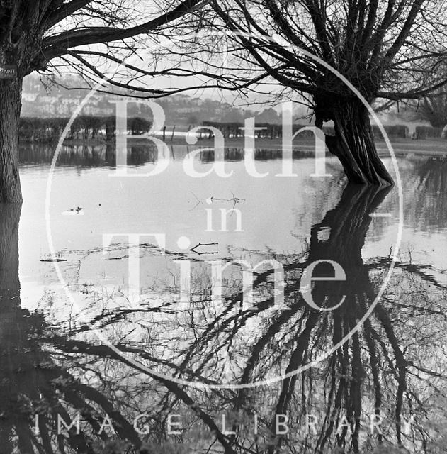 The flooded riverside at Batheaston 1971