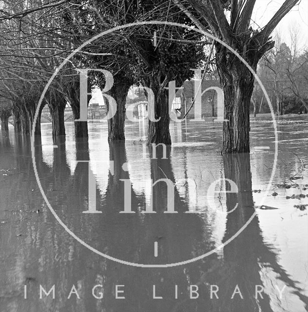 View of the flooded river at the toll bridge at Bathampton 1971