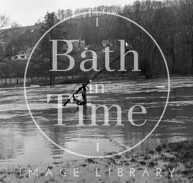 The flooded boat lift at Bathampton weir with perched seagull 1971