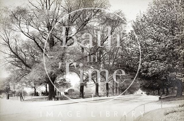 Royal Avenue, Royal Victoria Park, Bath c.1895