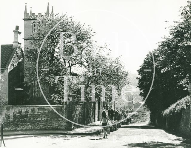 Judas Tree, St. Mary Magdalen's Chapel, Holloway, Bath 1974