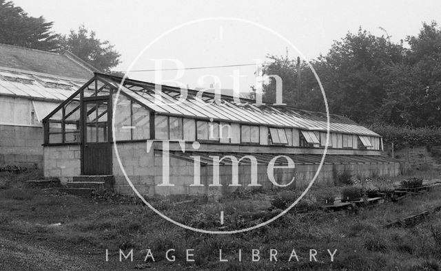 Haycombe Cemetery Nursery, Bath 1982