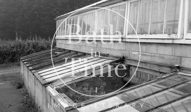 Haycombe Cemetery Nursery, Bath 1982