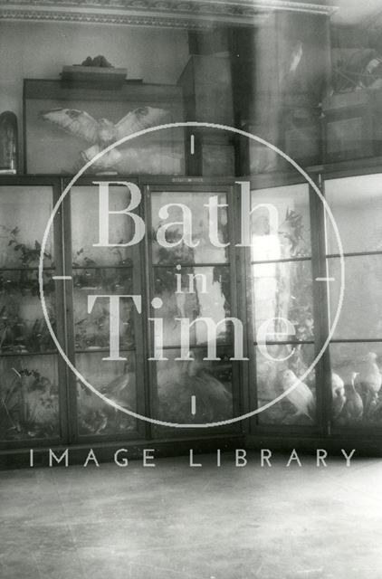 Bath Reference Library, Queen Square premises - interior showing glass cases c.1960