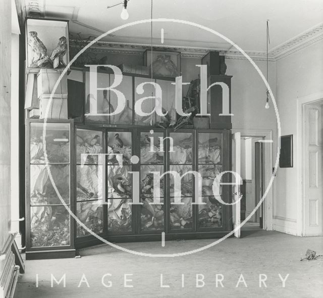 Bath Reference Library, Queen Square premises - exhibits and showcases 1960