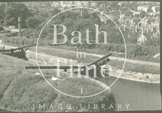 Looking down on swans on the Kennet and Avon Canal, Sydney Buildings, Bath c.1920