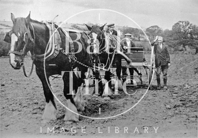 Shire horses and farmers in Radstock, Somerset? c.1910