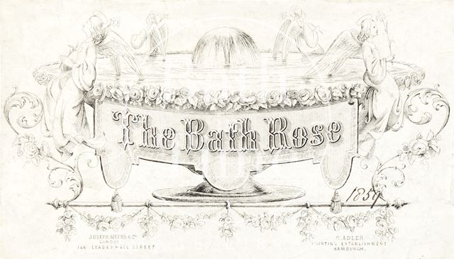 The Bath Rose ornamental fountain engraving 1859