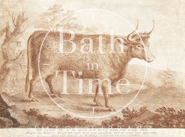 The Prize Ox at the Bath and West of England Society 1803