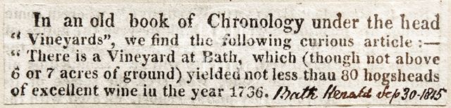 The discovery of a vineyard in Bath 1815