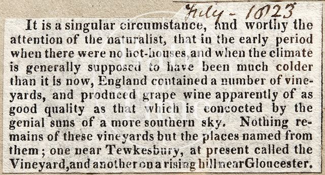 Vineyards in Britain 1823