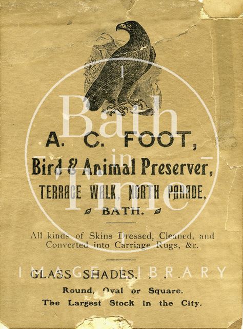 A.C. Foot, Terrace Walk, North Parade, Bath 1870