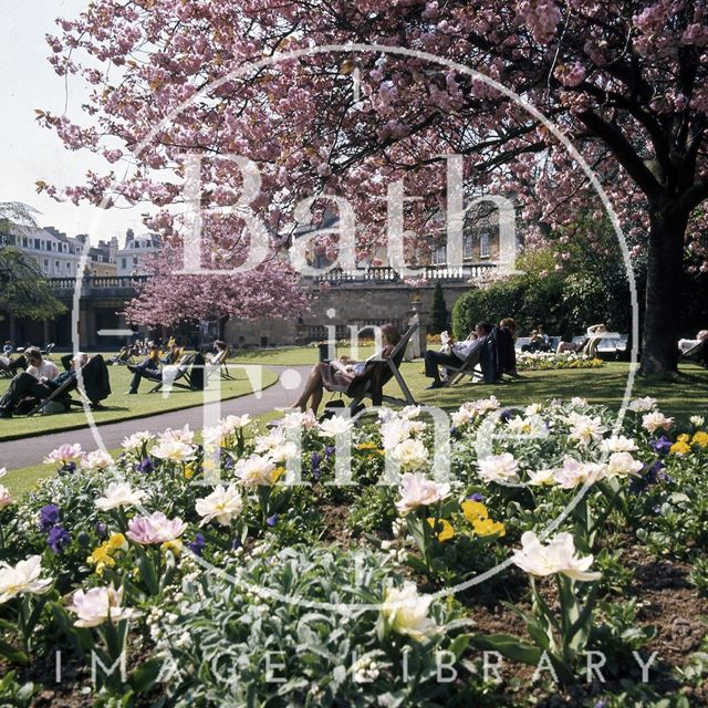 Flowers in a sunny Parade Gardens, Bath c.1975