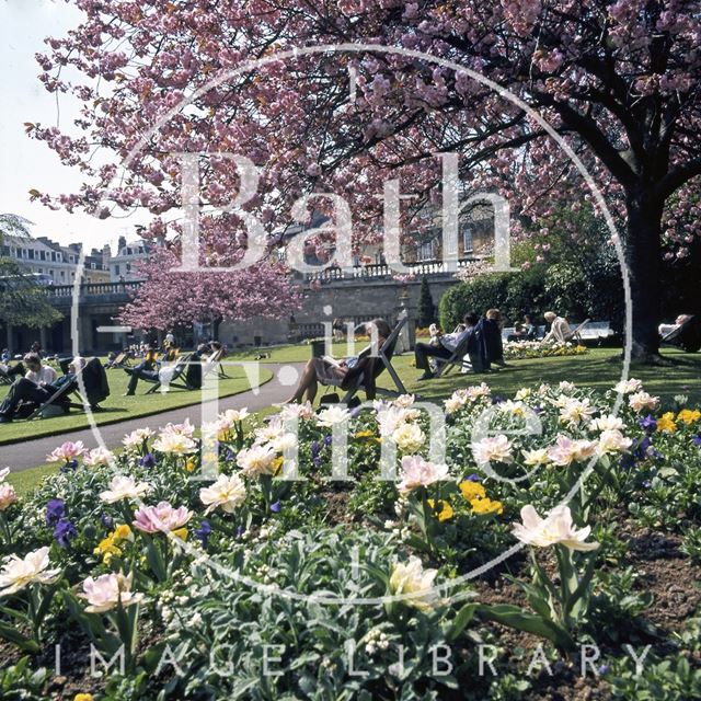 Flowers in a sunny Parade Gardens, Bath c.1975