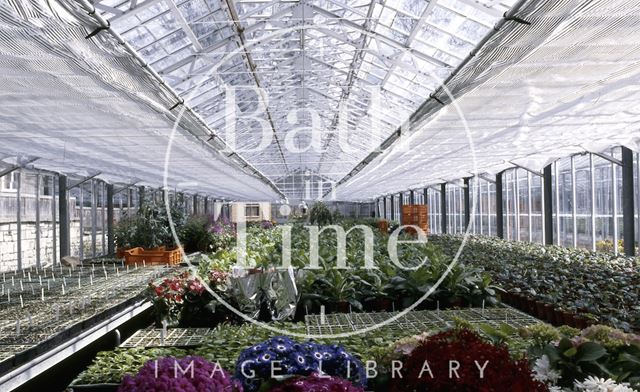 Interior of Bath Council's nursery, Cow Lane c.1980