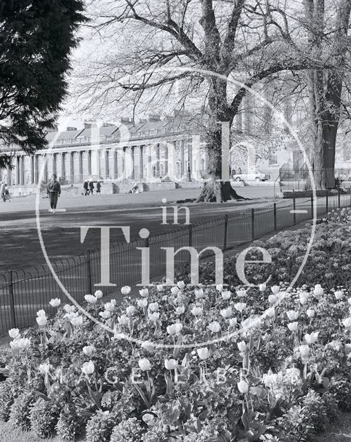 Flowers and Royal Crescent, Bath c.2002?