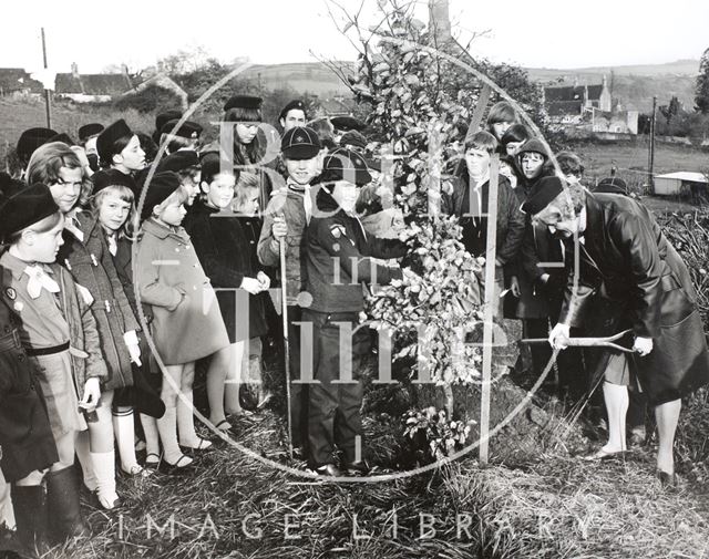 Cubs planting a beech tree to commemorate the European Conservation Year, Bath 1970