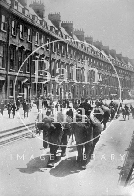 Elephants on the Paragon, Bath c.1909