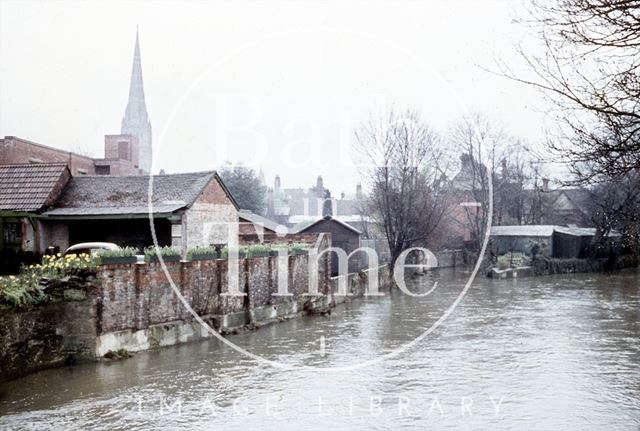 The river and view of Salisbury Cathedral, Wiltshire c.1960