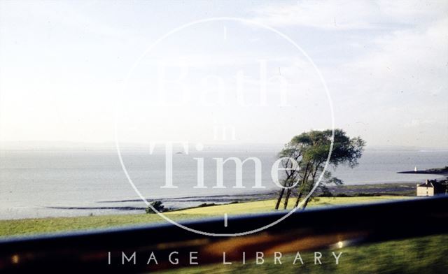 Windswept trees at Clevedon, Somerset c.1960