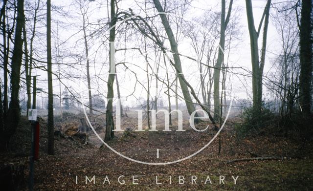 Rainbow Woods, Bath c.1987