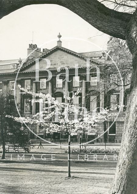 Blossom on a newly planted tree in Queen Square, Bath c.1960