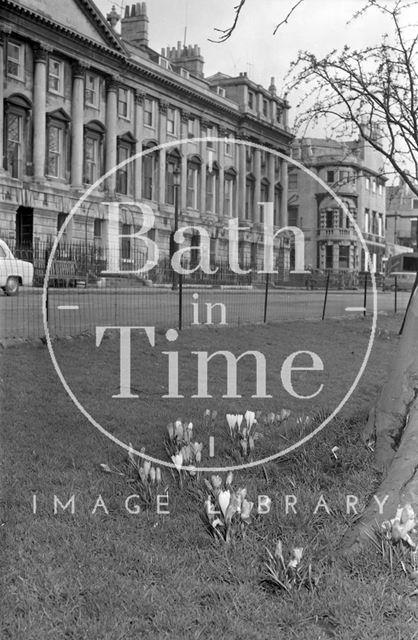 Crocuses in Queen Square, Bath c.1967