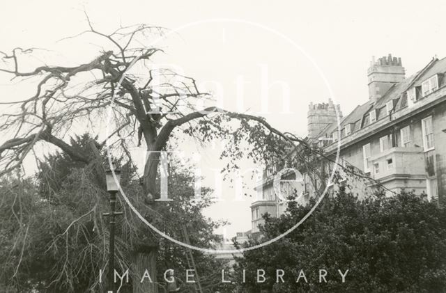 Elm tree felling, Queen's Parade, Bath 1979