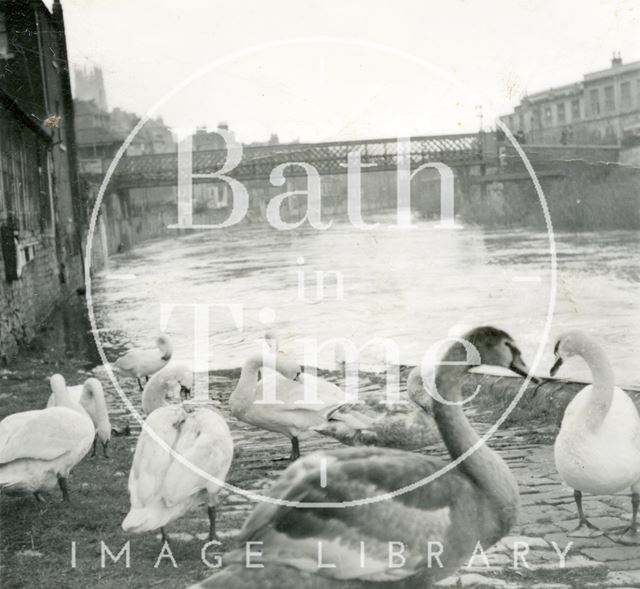 The Halfpenny Bridge and flooded River Avon, Bath c.1960