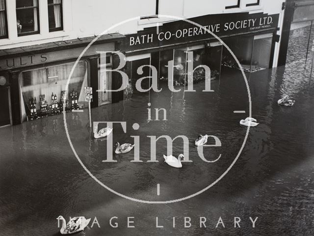 Swans swimming in floods, Southgate Street, Bath 1960