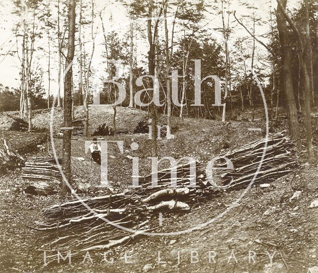 Coppicing in a wood near Bath c.1890