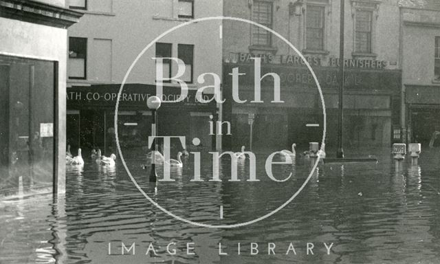 Swans in Southgate Street, Bath during the floods 1960