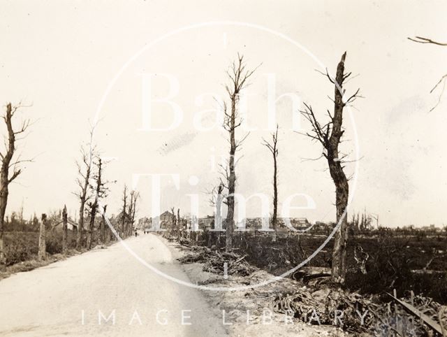 Burned out trees on the Menin Road, Ypres, Belgium c.1916-1920