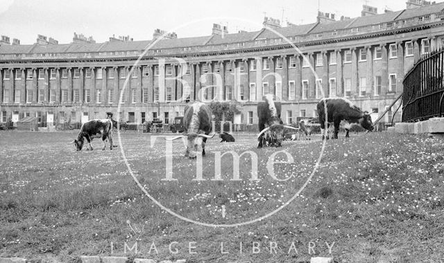 Filming the Bawdy Adventures of Tom Jones at Royal Crescent, Bath 1976