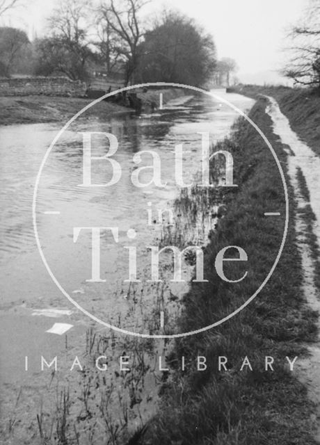 Looking downstream from Bathampton 1956