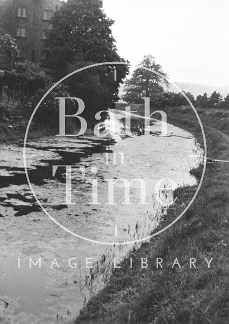 View of Kennet and Avon Canal west of Bathampton Bridge 1956